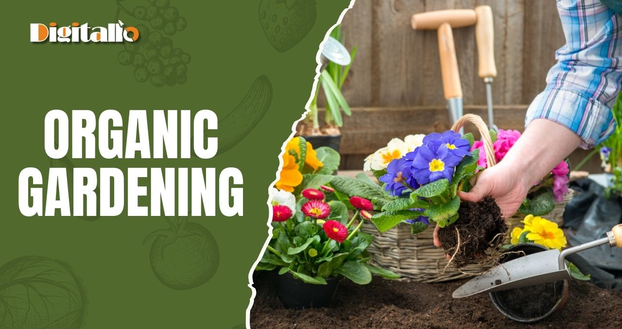 Organic Gardening: A Beginner’s Guide to a Healthier Garden