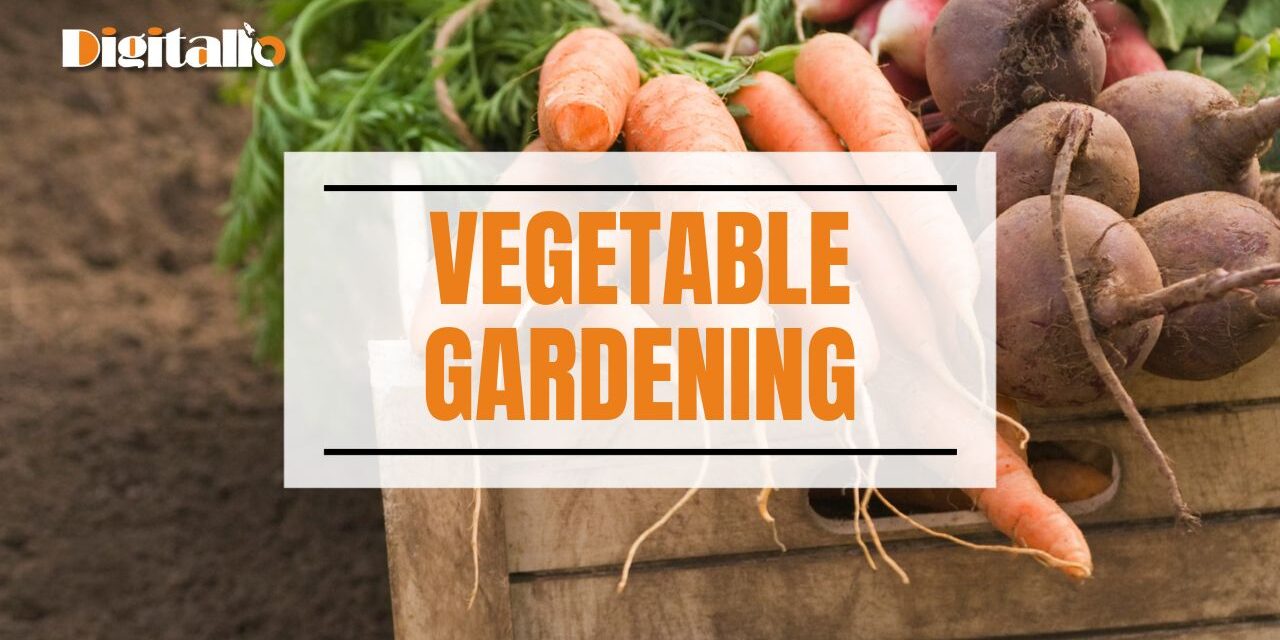 vegetable gardening